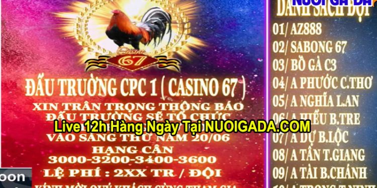 Giải đá gà tự do CPC3 ngày 20/6/2024