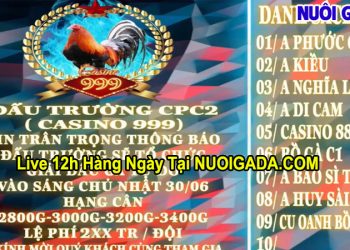 Trực tiếp giải đá gà tự do CPC3 Campuchia hôm nay 30/6/2024