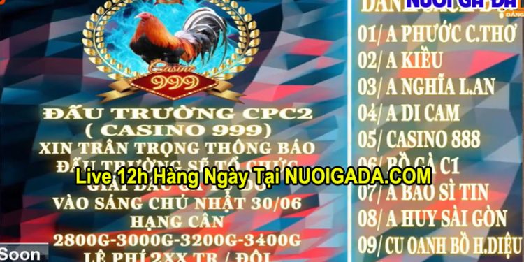 Trực tiếp giải đá gà tự do CPC3 Campuchia hôm nay 30/6/2024