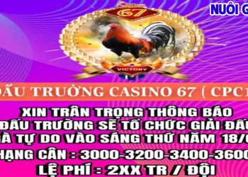 Full Video Đá Gà CPC3 ngày 17/7/2024