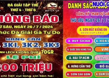 Full Giải Gà Tự Do CPC3 từ Thomo Campuchia ngày 26/7/2024