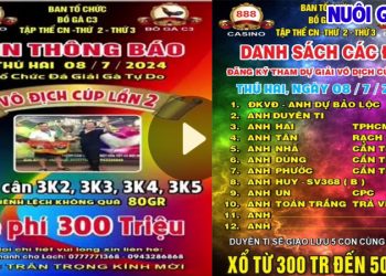 Trực tiếp đá gà Thomo Campuchia CPC3 ngày 5/7/2024