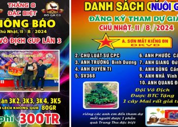 Xem Giải gà tự do CPC3 Trực Tuyến 11/08/2024