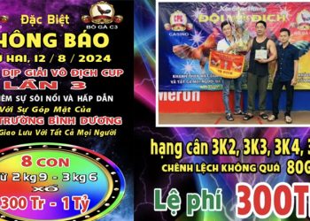 Giải Đá Gà Cup C3 Bồ CPC3 HD Đầy Đủ Ngày 12/08/2024