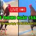 Clip Đá Gà Thomo CPC3 Chất Lượng HD 15/08/2024