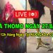 Trực Tuyến Đá Gà Thomo CPC3 HD Ngày 27/08/2024