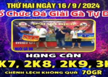 da-ga-giai-ngay-16-9