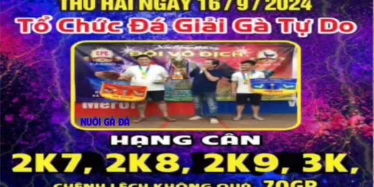 da-ga-giai-ngay-16-9