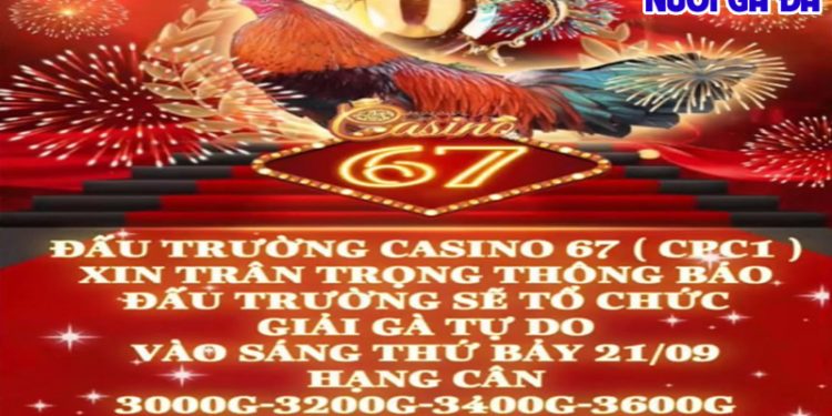 Coi video đá gà C3 tổng hợp ngày 21/09/2024