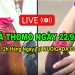 Đá gà cựa sắt Thomo Full HD C3 22/09/2024