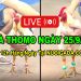 Đá gà Thomo Campuchia liên tục chất lượng cao CPC3 25/09/2024