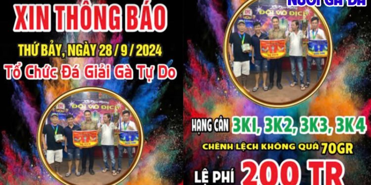 Trực tiếp giải đá gà tự do CPC3 28/09/2024