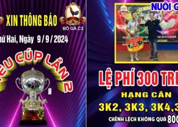 Giải đá gà Cúp Lần 2 Campuchia trực tiếp C3 09/09/2024