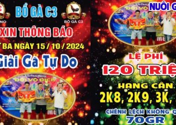 Video trực tiếp giải đá gà CPC3 Campuchia ngày 15/10/2024