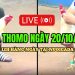 Xem live đá gà Thomo CPC3 chất lượng cao ngày 20/10/2024