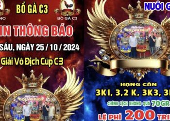 Full Giải Vô Địch Cúp C3 ngày 25/10/2024