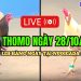 Trực tuyến đá gà Thomo đặc sắc C3 ngày 28/10/2024