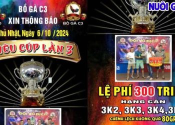 Full Giải Đá Gà Siêu Cúp CPC3 hay nhất ngày 6/10/2024