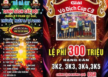 nuoigada - giai cpc3 9-11