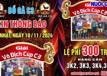 Full Giải vô địch cúp C3 HD hôm nay 10/11/2024