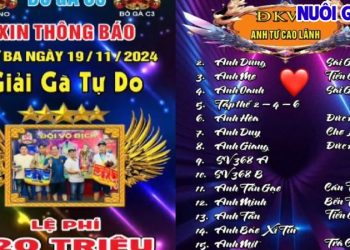 Full Giải Gà Tự Do CPC3 cực hay ngày 19/11/2024