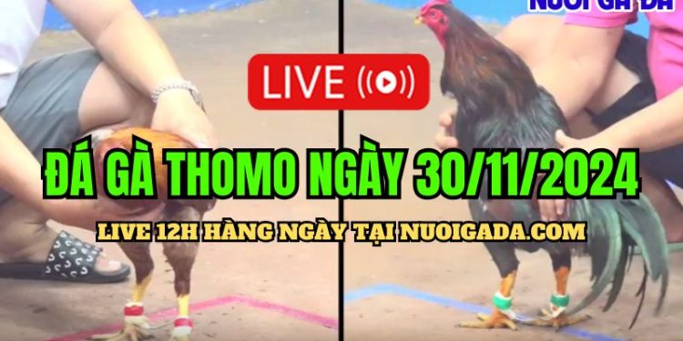 Trực tiếp đá gà Campuchia hôm nay CPC3 HD 30/11/2024