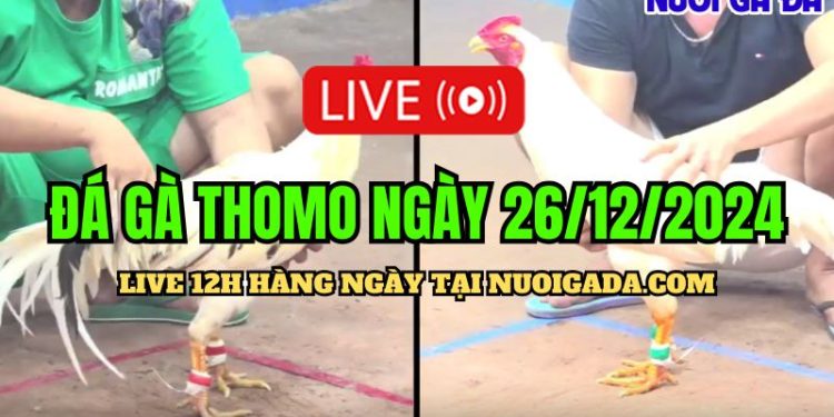Trực tiếp đá gà Campuchia hấp dẫn nhất C3 26/12/2024