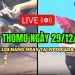 Đá gà trực tiếp Thomo cực HOT CPC3 hôm nay 29/12/2024