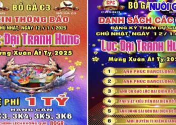 Full Giải Lục đại tranh hùng CPC3 mừng xuân Ất Tỵ 12/1/2025