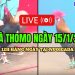 Đá Gà Thomo C3 Đặc Sắc Và Hấp Dẫn Nhất Ngày 15/01/2025