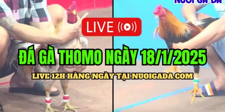 Trực Tiếp Đá Gà Campuchia C3 Mới Nhất Và Chất Lượng Hôm Nay 18/01/2025