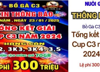 Full Tổng kết giải Cup C3 năm 2024 ngày 23/1/2025