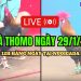 Đá Gà Thomo C3 Đặc Sắc Và Mới Nhất 29/01/2025