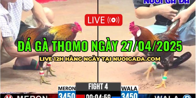 Full Clip Bồ Gà C1 ngày 15/4/2025