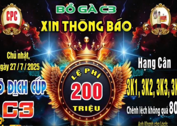 Giải Vô Địch Cup Gà Tự Do CPC3 ngày 27/7/2025